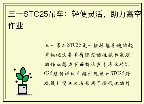 三一STC25吊车：轻便灵活，助力高空作业